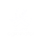Grupo Agromotor